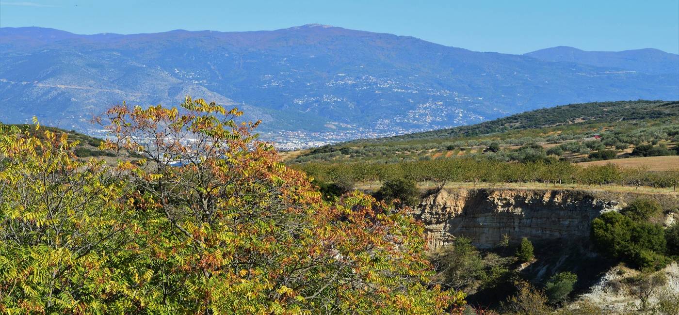 Σέσκλο: Ξενάγηση στον Νεολιθικό Οικισμό