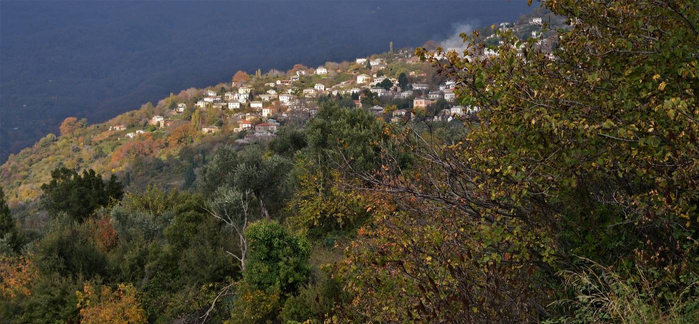 Δράκεια