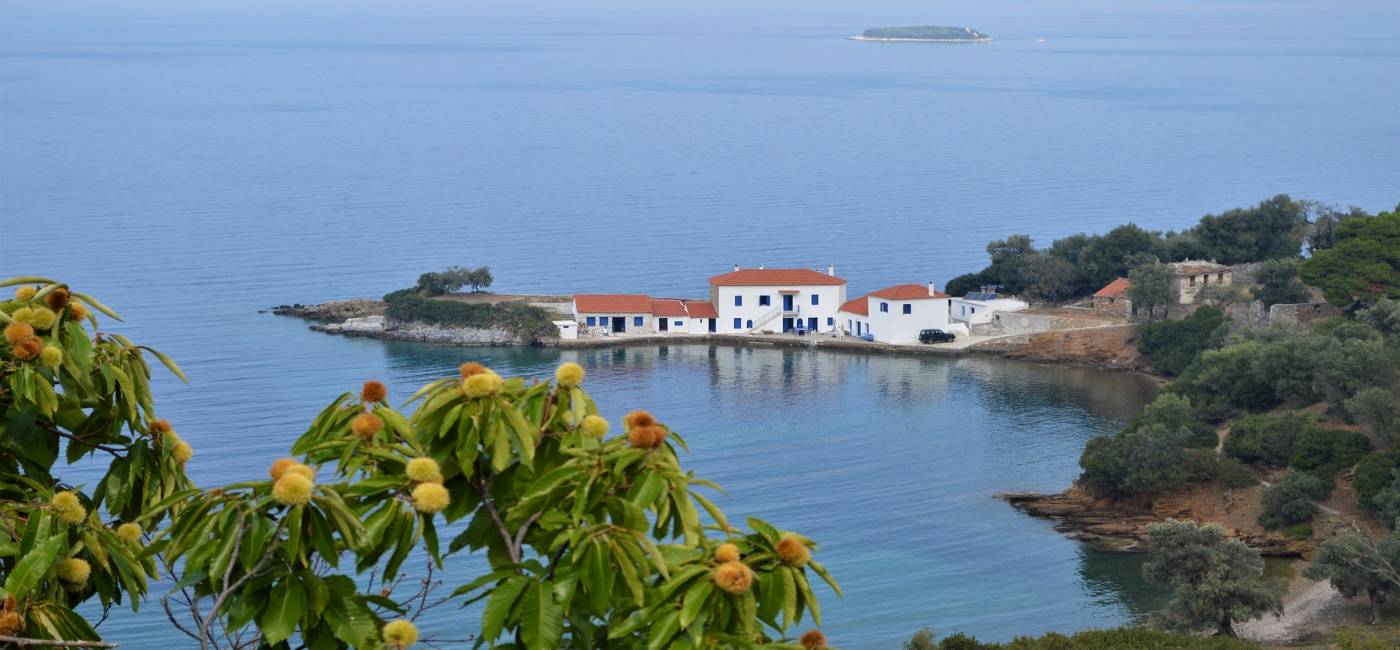 12 Ways To Travel To Pelion Without Leaving Your Home