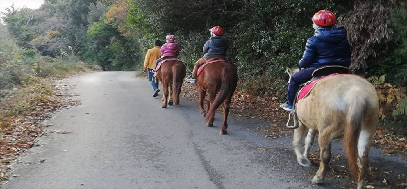 Pelion With Kids