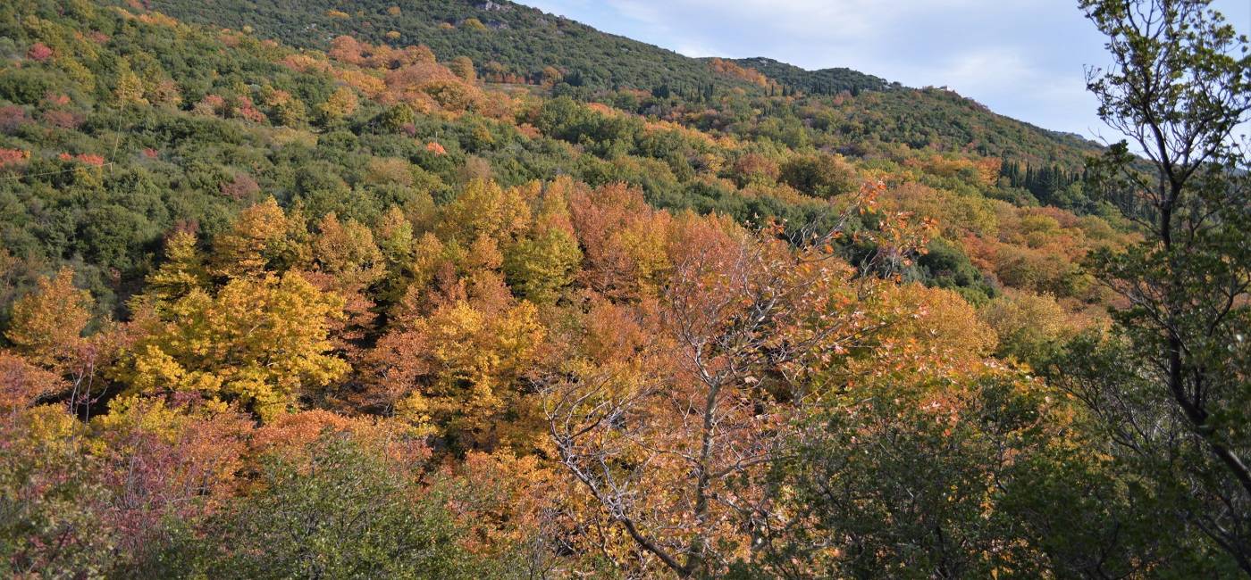 9+1 Reasons To Love Pelion In Fall