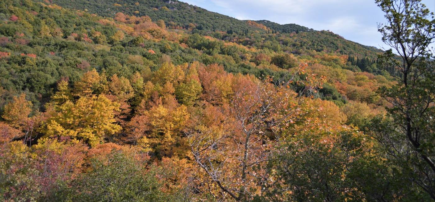 9+1 λόγοι για να επισκεφτείτε το Πήλιο το Φθινόπωρο