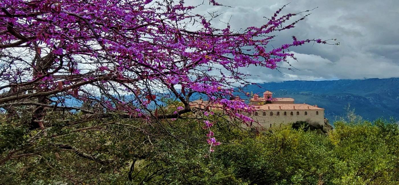 Volos-Meteora Guided Tour